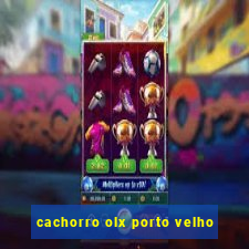 cachorro olx porto velho